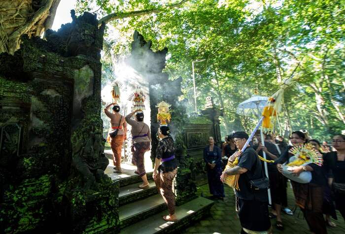 419d5fbf-8bb7-47e0-987b-2cb04d688ec1_alt