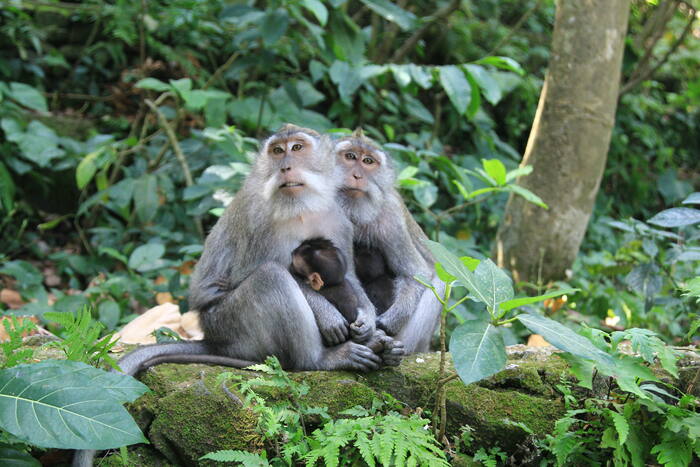 8749c057-45e9-4908-a8fa-76f2e5715868_alt