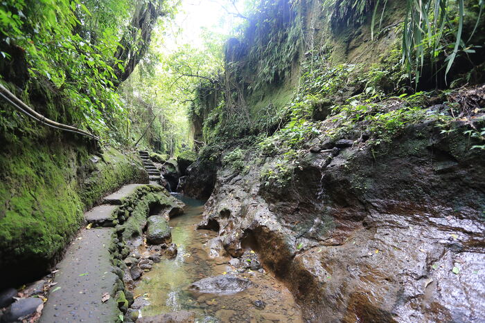 eef6dc56-6dd7-45aa-849f-1e0486ad713e_alt