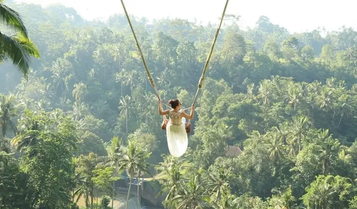 b651e8bd-2802-4cce-b675-405225f17596_alt