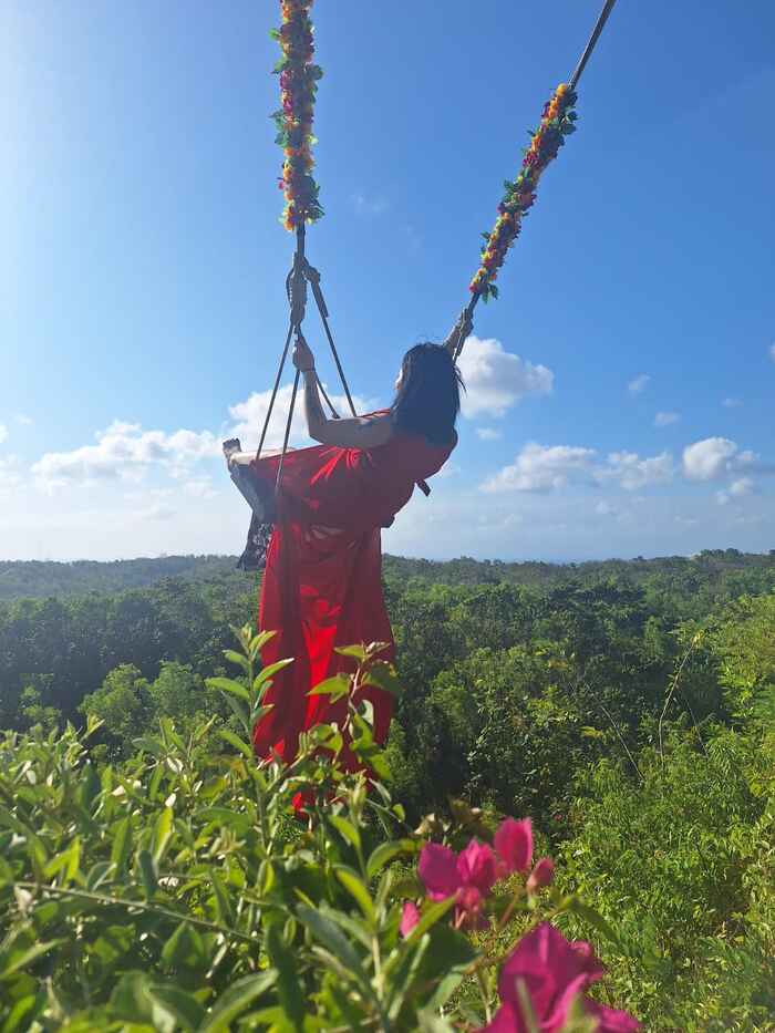 ecdefa13-a3f8-4844-9108-b265437c3042_alt