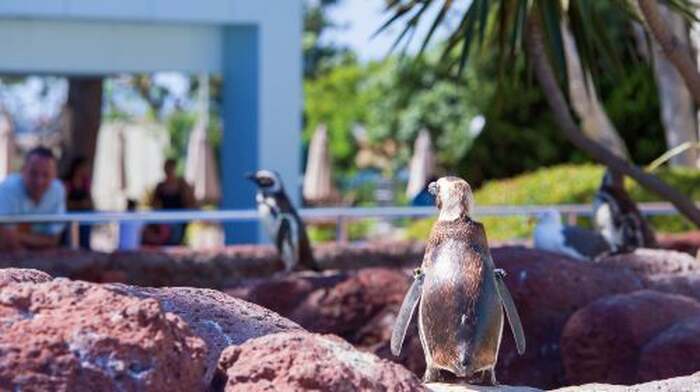 SeaWorld San Diego - Main Image