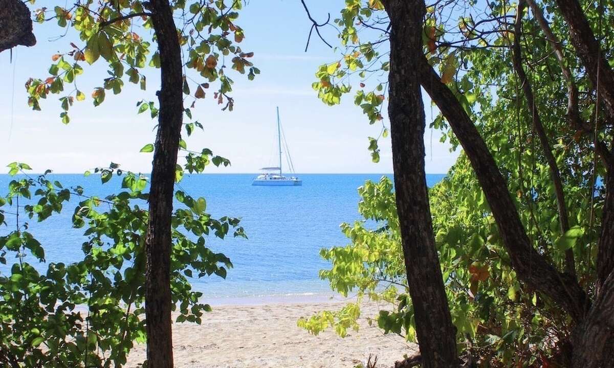 Wavedancer Low Isles Cruise from Port Douglas Marina - Main Image