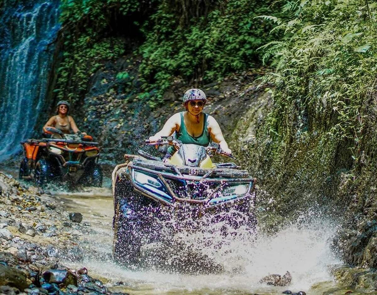 dafab4ce-b95c-4c2e-a954-ccbb20120a44_alt