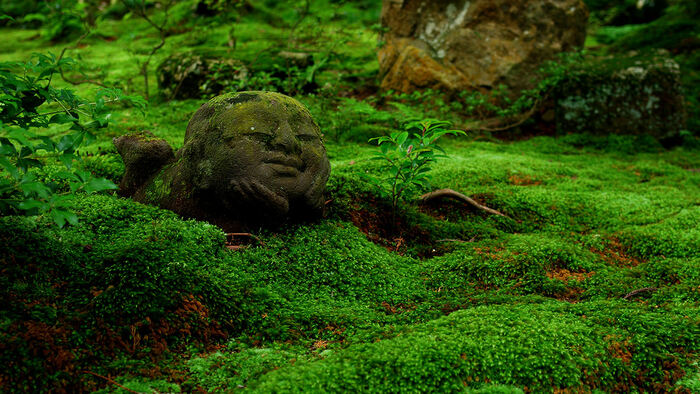 Sanzen-in Temple in Arashiyama, Kyoto - Main Image