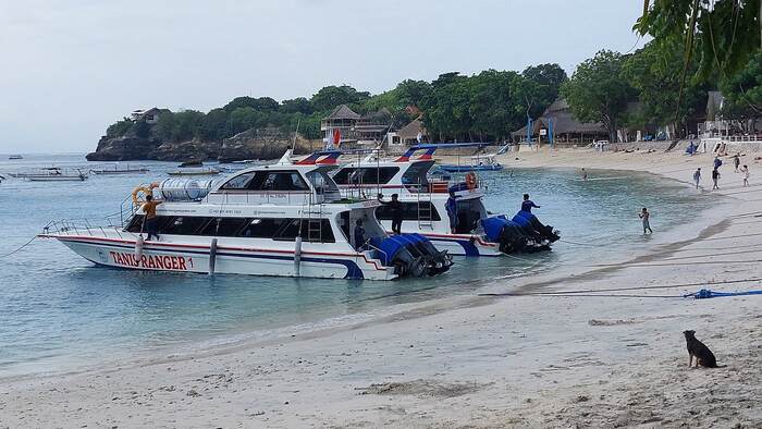 d32e153c-d2e2-4ae7-8af3-176a9c95f99d_alt