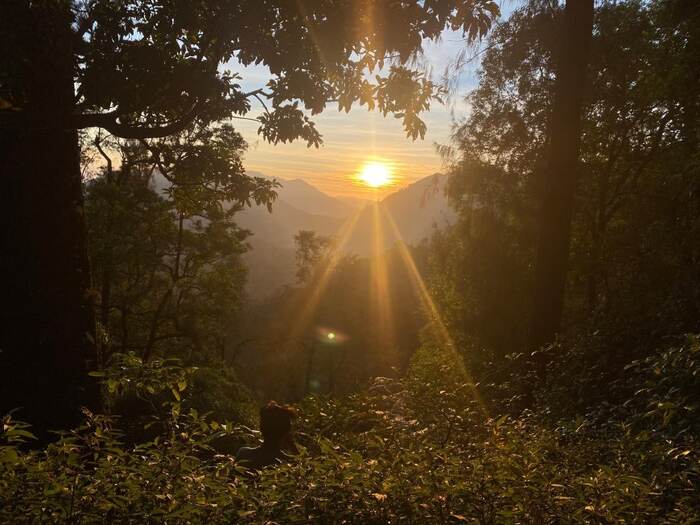 2e2fac19-886f-40e7-8396-7bf46fb662f9_alt