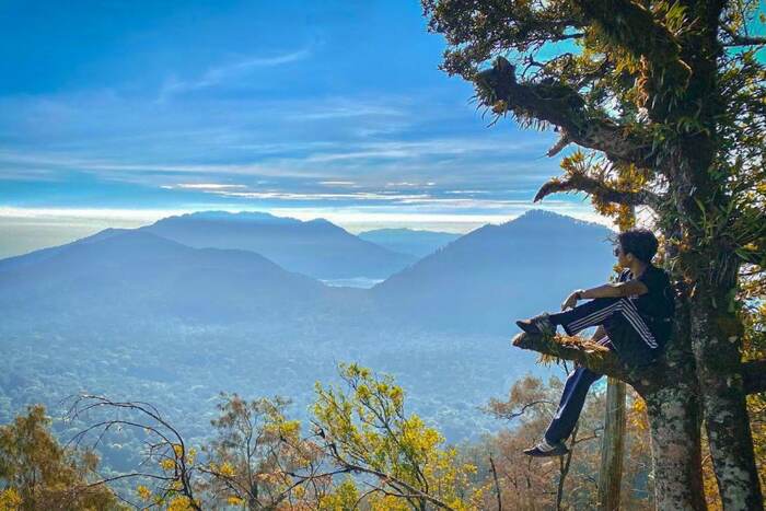 872d0598-0f3c-4ce5-9335-86f837378e6b_alt