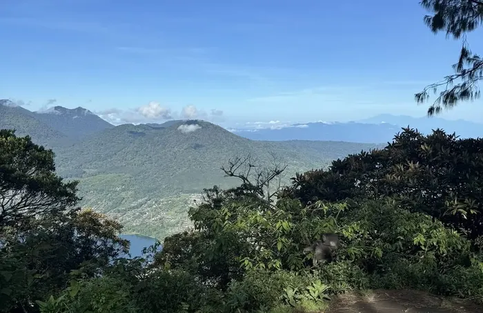 8775ba8d-8cf3-48c6-8e4e-4a03c87da163_alt