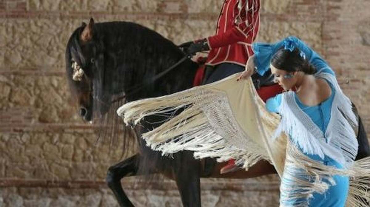 Equestrian Show 'Passion and Spirit of the Andalusian Horse' Adult - Main Image