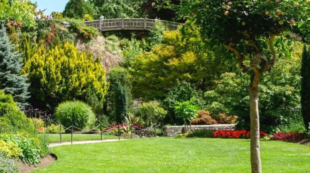 Canada: Capilano suspension bridge park + lookout day tour in Vancouver (English group) including service fee Day Tours - Main Image