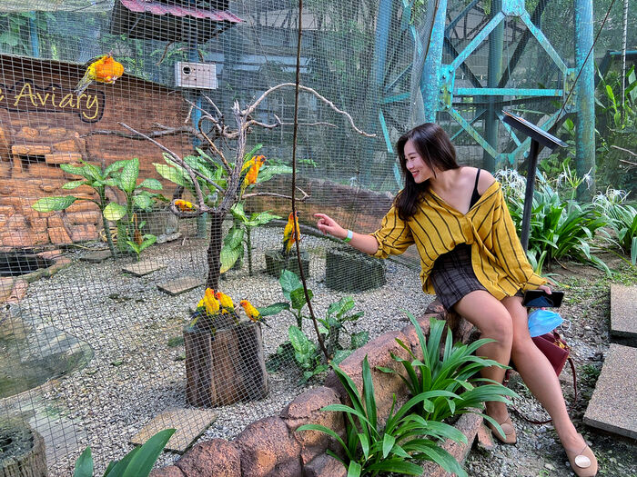 KL Bird Park Admission Ticket With One Way Transfer - Main Image