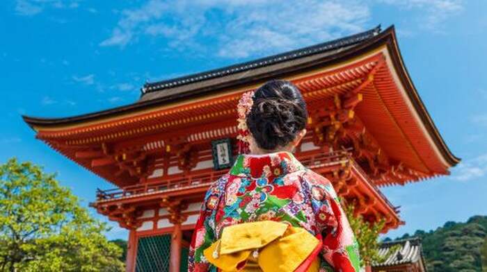 Osaka city private car tour | 8 or 10-hour extended service with Chinese/English-speaking driver / Customizable routes Day Tours - Main Image