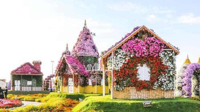 Dubai Miracle Garden - Main Image
