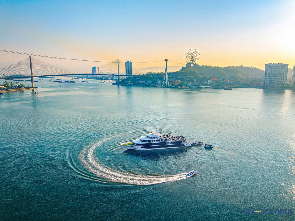 Sea Octopus Cruise - Ha Long Day tour & Dinner Cruise - Main Image