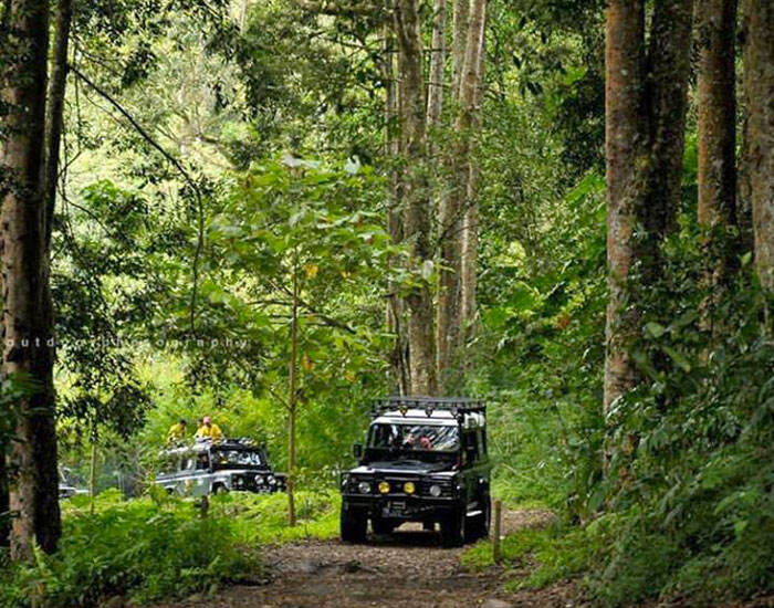 721bfa9a-bb9a-41a7-b7f6-d828dc9310ec_alt