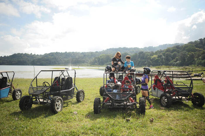 cc9b97d4-f6a7-43fc-bb65-8a0b50334a72_alt