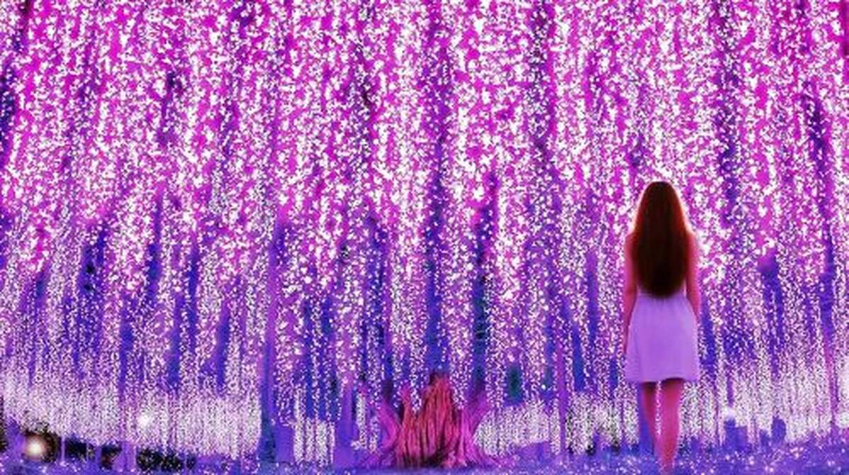 Ashikaga Flower Park Light Show - Main Image
