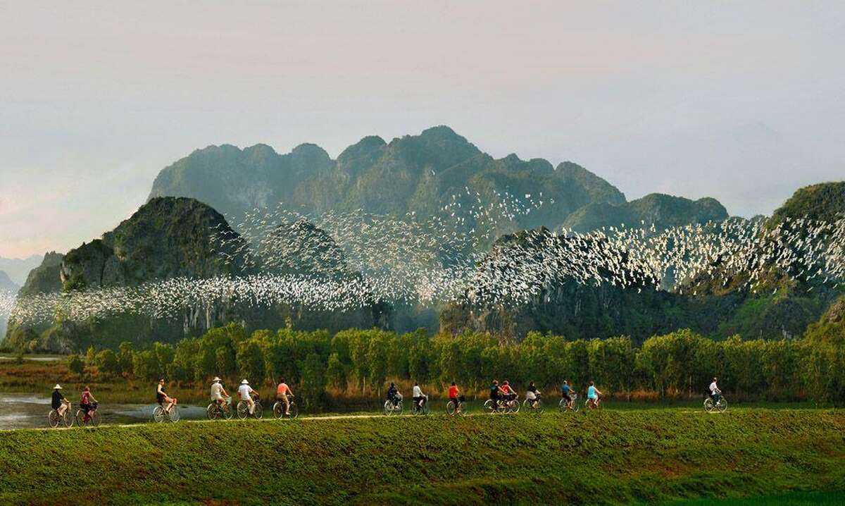 Thung Nham Bird Park in Ninh Binh - Main Image