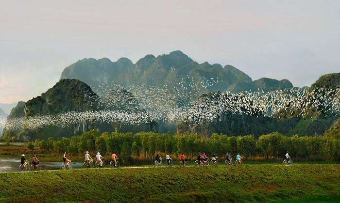 Thung Nham Bird Park in Ninh Binh - Main Image