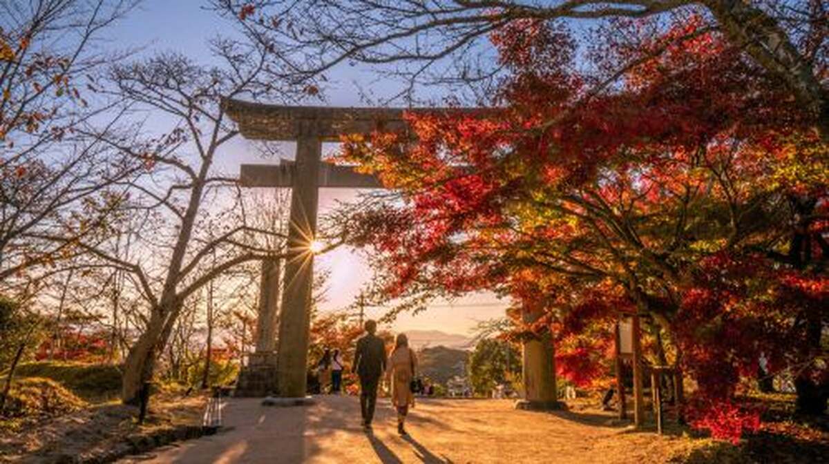 Kyushu Autumn Special: Aonodomon Yabakei Gorge, Hitome Hakkei, Kokonoe Yume Bridge & Dazaifu One Day Tour (From Fukuoka) Day Tours - Main Image