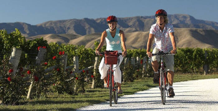 Full Day Unguided Biking Wine Tour - Main Image