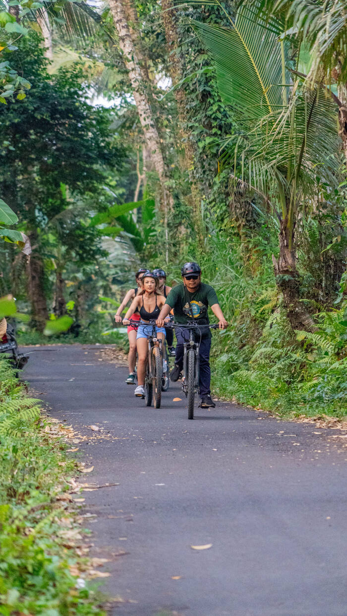 bc6a80cf-c9ef-4ecc-80c5-ce5ed5847ea1_alt