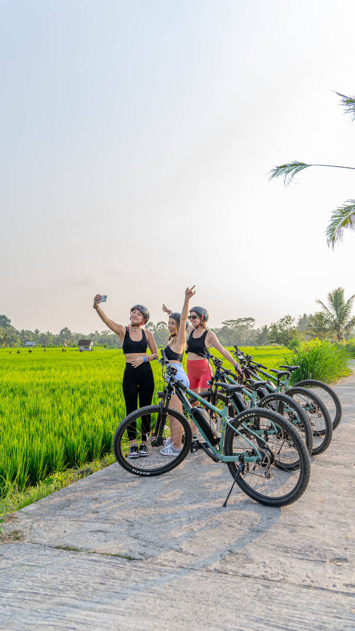 bf61b4ad-ebf4-4a59-8810-d5e81960adf1_alt