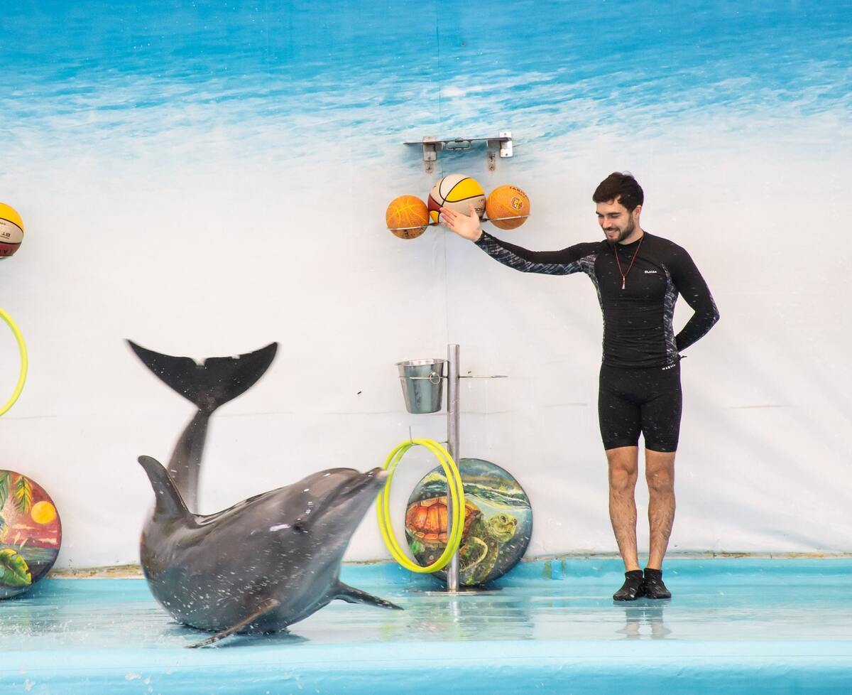 Pattaya Dolphinarium - Main Image
