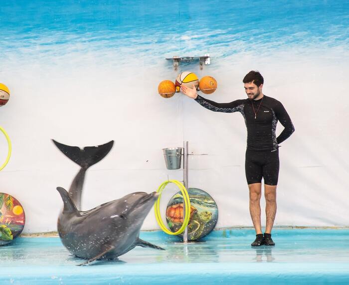 Pattaya Dolphinarium - Main Image