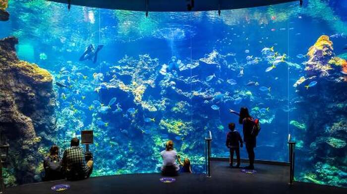 Golden Gate Park Tour With California Academy of Sciences Day Tours - Main Image