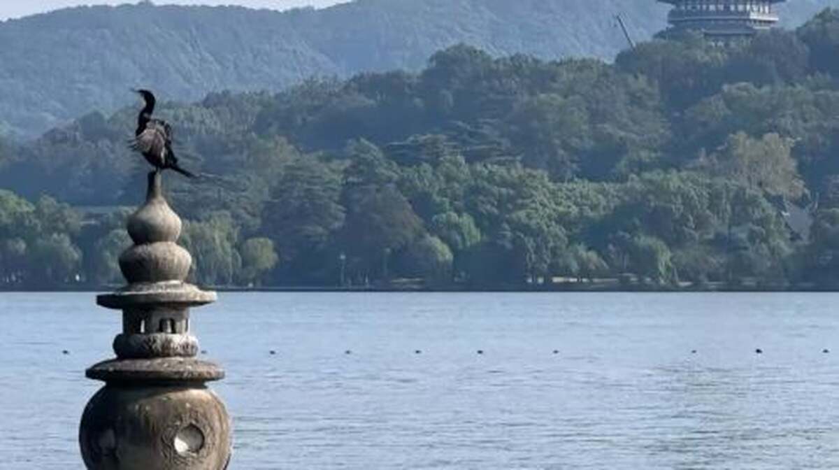 Hangzhou West Lake-Lingyin Temple-Leifeng Pagoda one-day tour(English service available/multiple Vehicle Type available) Day Tours - Main Image