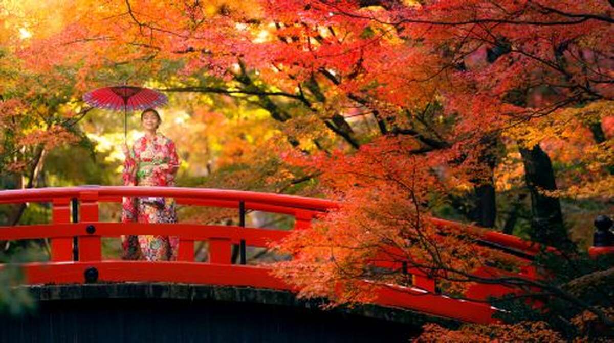 Kyoto Autumn Foliage Special: Minoh Falls, Sagano Romantic Train, Arashiyama Bamboo Forest, Nonomiya Shrine, Togetsukyo Bridge & Kinkakuji Temple One Day Tour (From Osaka) Day Tours - Main Image