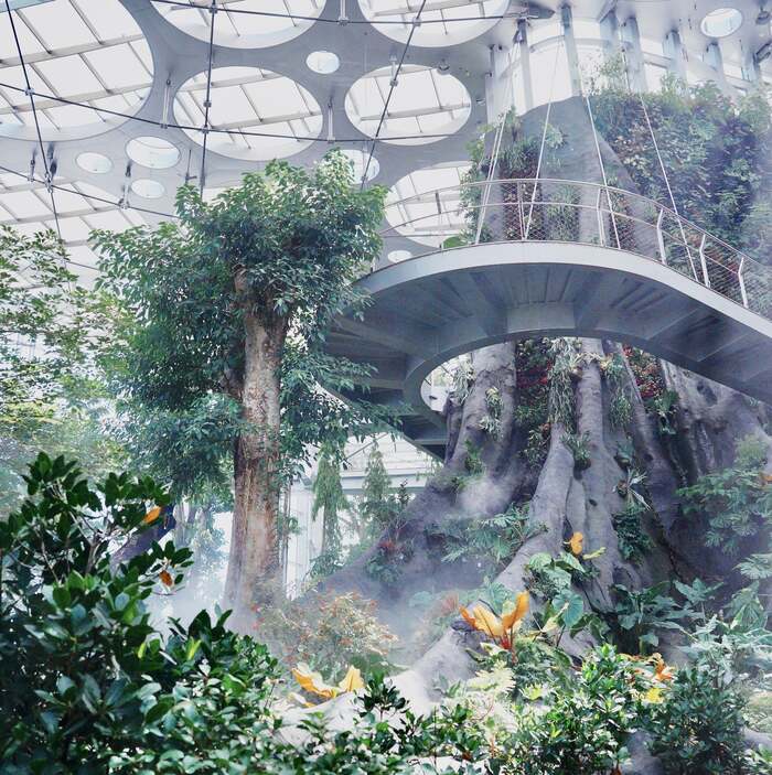 Shanghai Greenhouse Garden Adult Ticket ( Asia's Largest Glass Greenhouse) - Main Image