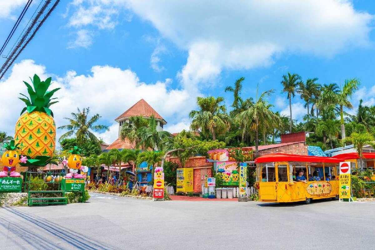 Okinawa Nago Pineapple Park - Main Image