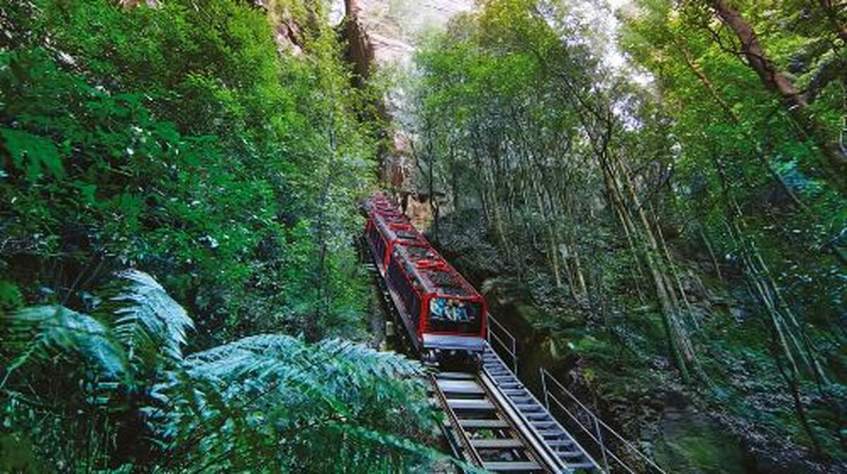 Blue Mountain Small Group Scenic World, Wildlife, Waterfall Day Tours - Main Image
