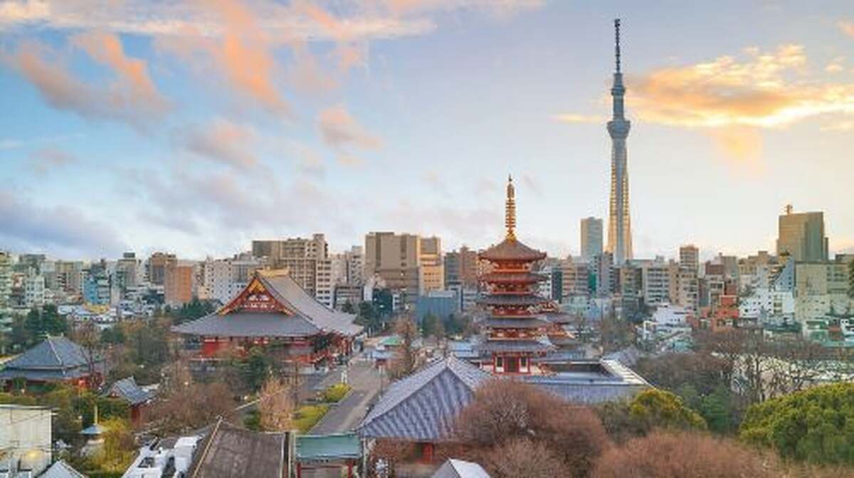 Tokyo: Half-Day Morning Small Group Tour Day Tours - Main Image