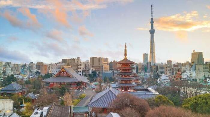 Tokyo: Half-Day Morning Small Group Tour Day Tours - Main Image