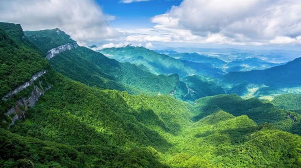 Chongqing Jinfo Mountain: Exploring Ancient Forests and Rare Plants - Main Image