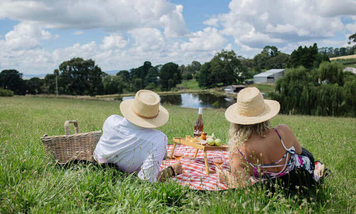 Printhie Wines Picnic And Guided Wine Tasting Tour - Main Image