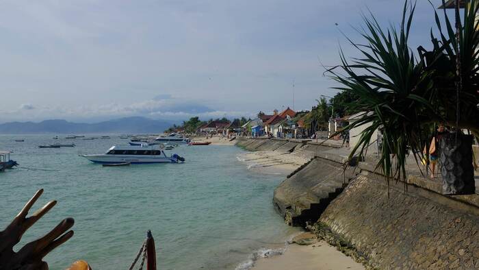 4d11c64d-dbaf-433a-a8cd-60709ac97003_alt