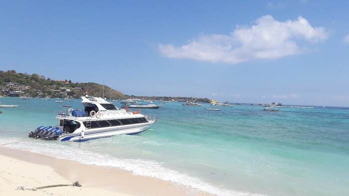 52dc6f88-9dab-4093-b2f3-6e3f824453ed_alt