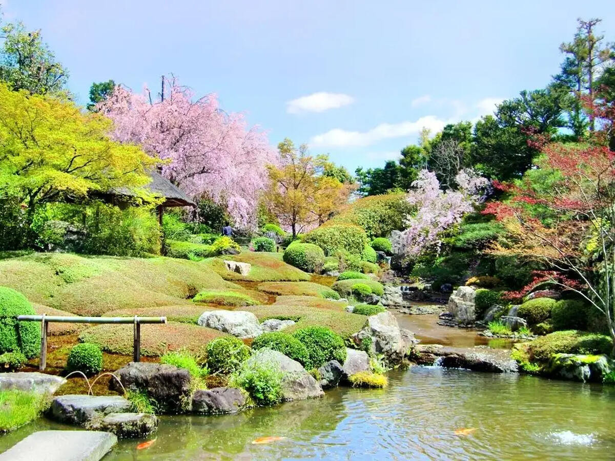 Myoshin-ji Taizo-in - Main Image