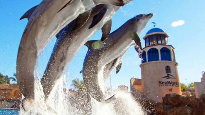 Los Angeles, USA Round-trip San Diego Old Town + Sea World one-day tour Day Tours - Main Image