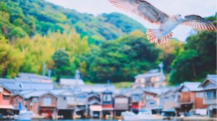 Amanohashidate Viewland + Ine Funaya 1-day tour, round-trip from Osaka, with complimentary airport-hotel bus ticket - Main Image