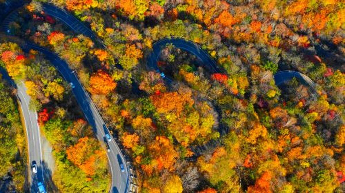 1-day tour to Nikko Toshogu Shrine + Lake Chūzenji: Irohazaka Winding Road/Kegon Waterfalls/Departing from Tokyo Day Tours - Main Image