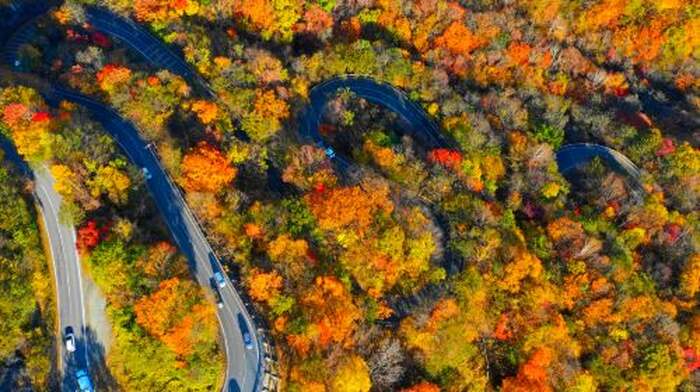 1-day tour to Nikko Toshogu Shrine + Lake Chūzenji: Irohazaka Winding Road/Kegon Waterfalls/Departing from Tokyo Day Tours - Main Image