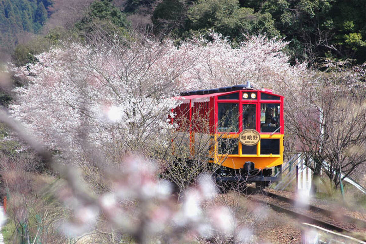 Arashiyama Sagano Romantic Train - Main Image