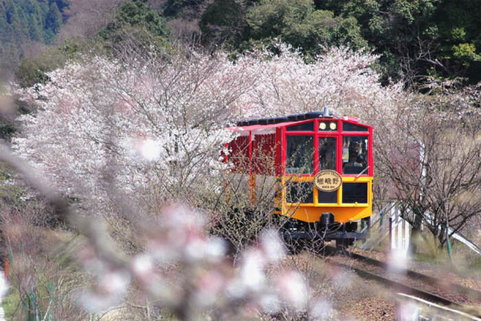 Arashiyama Sagano Romantic Train - Main Image
