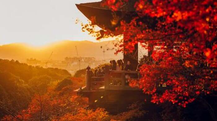 One-Day Tour in Kyoto and Nara (Kiyomizu-dera Temple + Fushimi Inari Taisha + Meet Cute Deer at Nara Park) Day Tours - Main Image